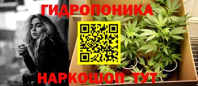 дмт Гатчина