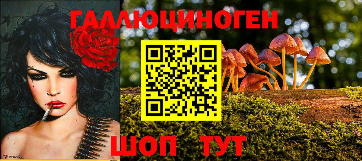 Галлюциногенные грибы мицелий  Вход с VPN  Галлюциногенные грибы GOLDEN TEACHER  Белая Калитва 